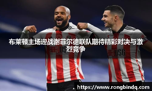 布莱顿主场迎战谢菲尔德联队期待精彩对决与激烈竞争