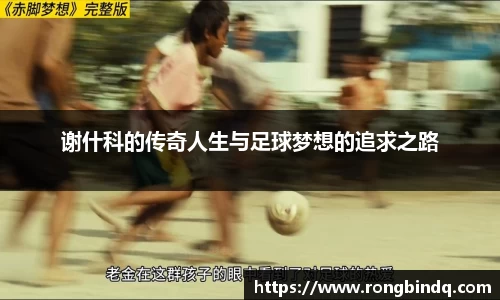 好博体育登陆人口