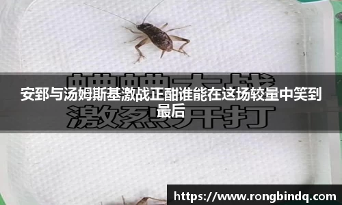 好博体育平台
